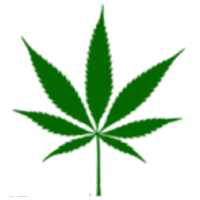 greenhealthdocs.com logo