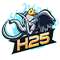 h25th.com logo