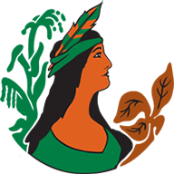 henrico.us logo