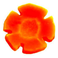 hippressurecooking.com logo