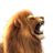 holla-africa.com logo