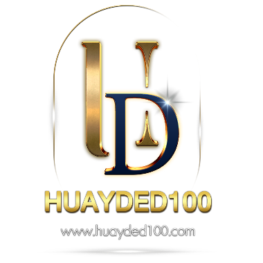 huayded100.com logo