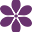 intimaterose.com logo