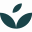 ivywise.com logo