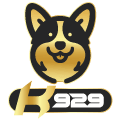 k929.co logo
