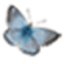lepiforum.de logo