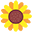 lilicloth.com logo