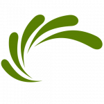 limeconnect.com logo