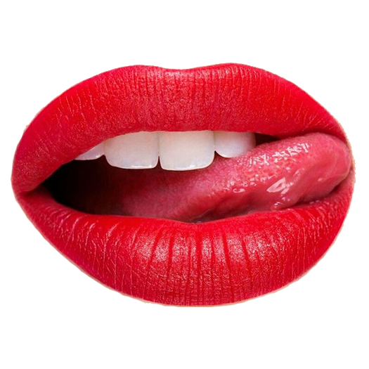 lovexxo.com logo