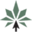 medcanonestop.com logo