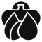 momotaro-jeans.com logo