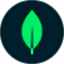 mongodb.com logo
