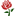 najdiljubezen.si logo