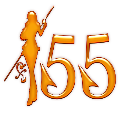 nami55.net logo