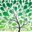 nativanews.com.br logo