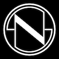 nestseekers.com logo