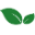 netpharmacy.co.nz logo