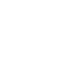netway.cr logo