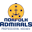 norfolkadmirals.com logo