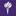 nyu.edu logo