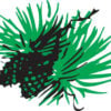 outdoornews.com logo