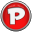 panet.co.il logo