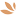 parfemy.cz logo