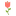 payadultcams.com logo