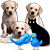 petzlover.com logo