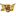 picz.in.th logo