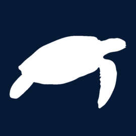 plasticfreeonlus.it logo