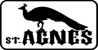 pohrebnisluzba-agnes.cz logo