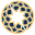 pomeps.org logo