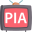 privateiptvaccess.com logo