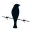 prodaft.com logo