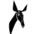 radiookapi.net logo