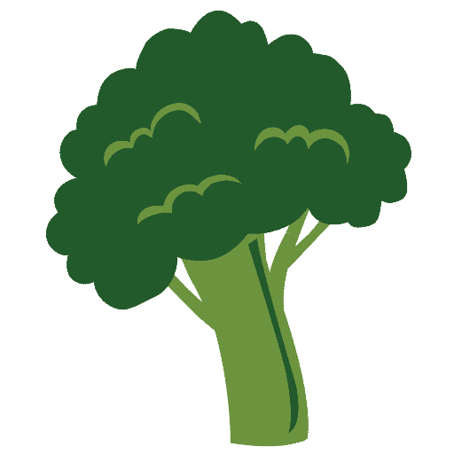 rainbowplantlife.com logo