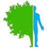 rambam-medicine.org.il logo