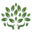 rawfoodshop.se logo