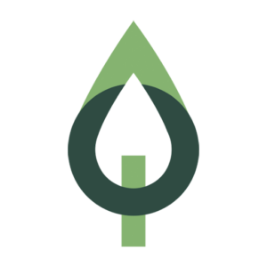 regiao-sul.pt logo
