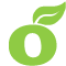 salveowell.com logo