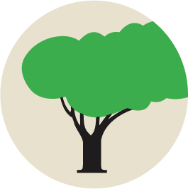 savatree.com logo