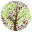 seasonofcreation.org logo