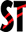 skintwo.com logo