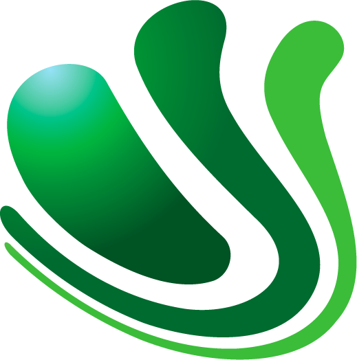 sognisport.com.br logo