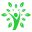 soundhealthandlastingwealth.com logo