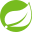 spring.io logo