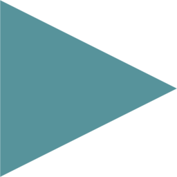 statisticssolutions.com logo