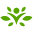 swanson-vitamins.com logo