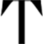 talgui.com.br logo